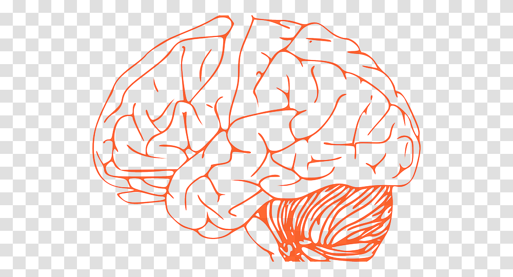 Brain Clip Art, Label, Rug, Alphabet Transparent Png