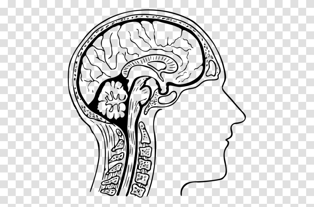 Brain Clipart Black And White Nice Clip Art, Gray, World Of Warcraft Transparent Png
