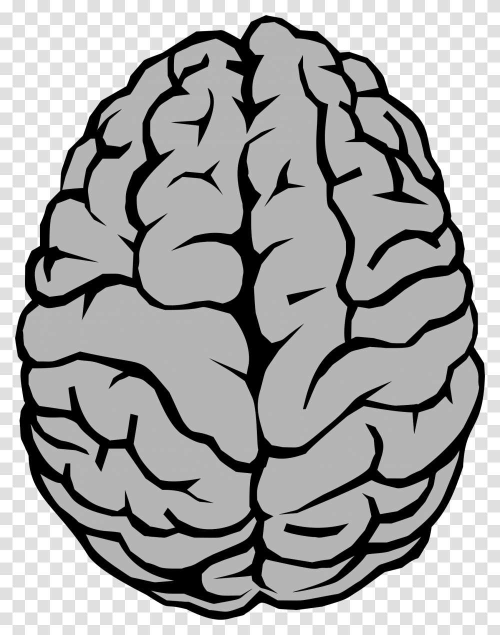 Brain Clipart Brain Clipart, Plant, Stencil, Vegetable, Food Transparent Png