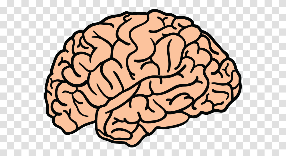 Brain Clipart Free Brain, Doodle, Drawing, Text, Rug Transparent Png