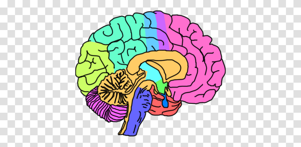 Brain Clipart Mental Wellness, Nature, Dye, Outdoors Transparent Png