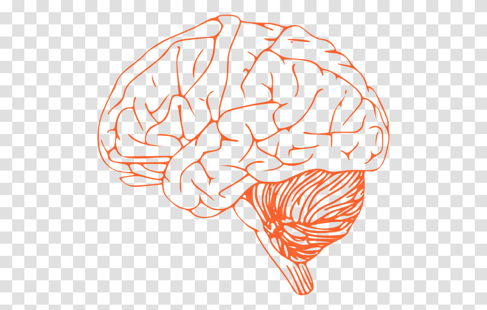 Brain Clipart Outline Of Human Brain, Pattern Transparent Png
