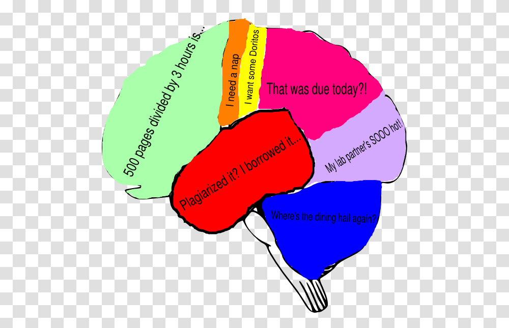 Brain Clipart With Labels, Plot, Diagram, Plectrum Transparent Png