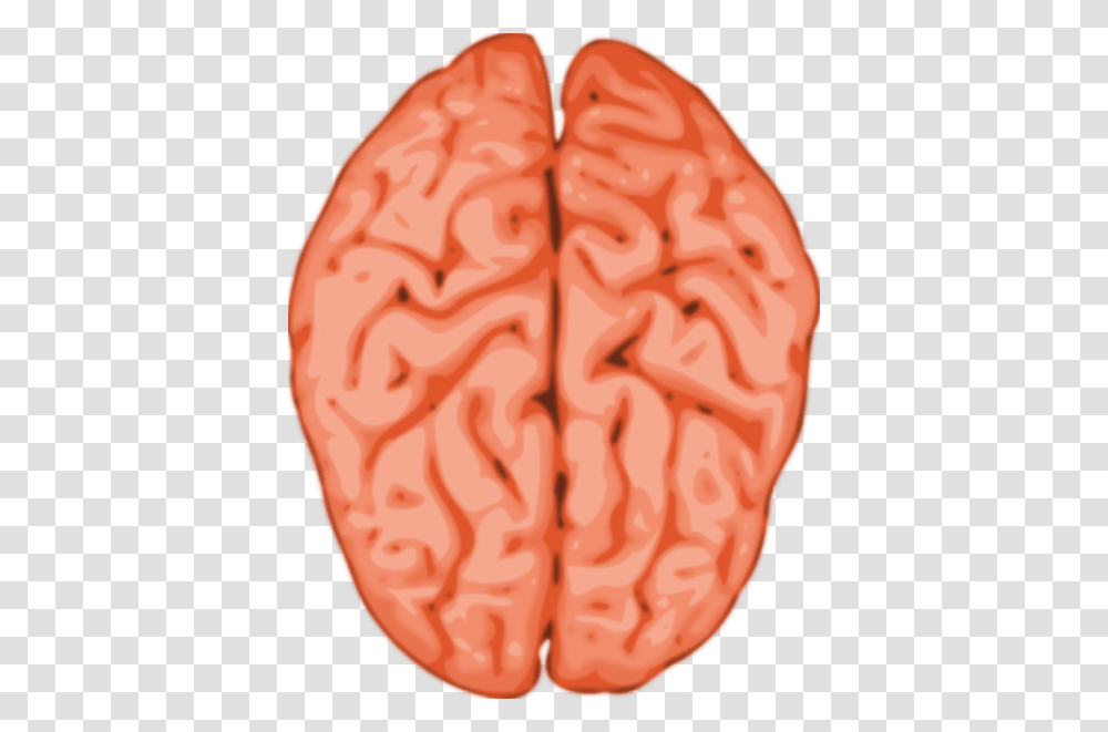 Brain Cliparts, Plant, Food, Pattern, Vegetable Transparent Png