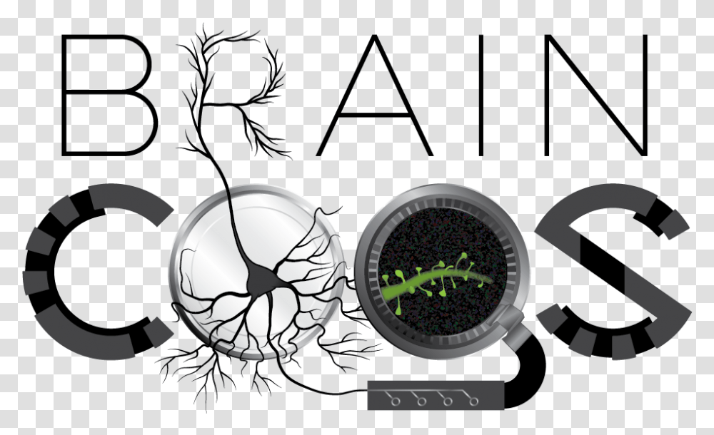 Brain Cogs On White Brain Cogs On White, Compass, Machine Transparent Png