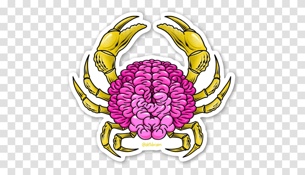 Brain Crab Sticker, Plant, Food, Vegetable, Sea Life Transparent Png
