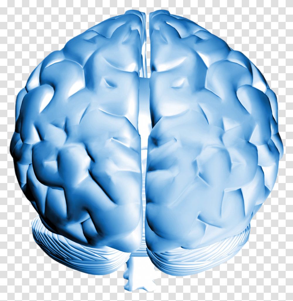 Brain Download Human Brain Front Facing, Sphere, Diaper, Pattern, Crystal Transparent Png