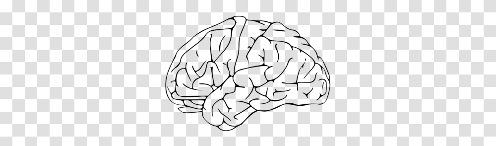 Brain Drawing Icons Brain Clip Art, Gray, World Of Warcraft Transparent Png