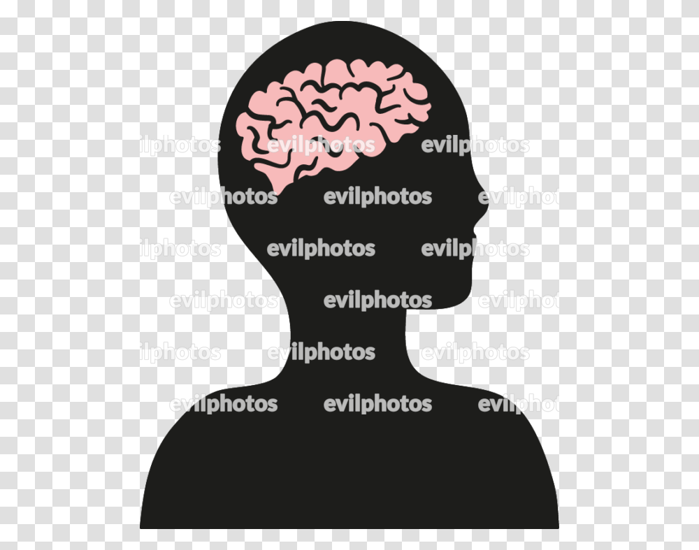Brain Drawing Vector And Stock Photo Drawing, Poster, Advertisement, Flyer Transparent Png