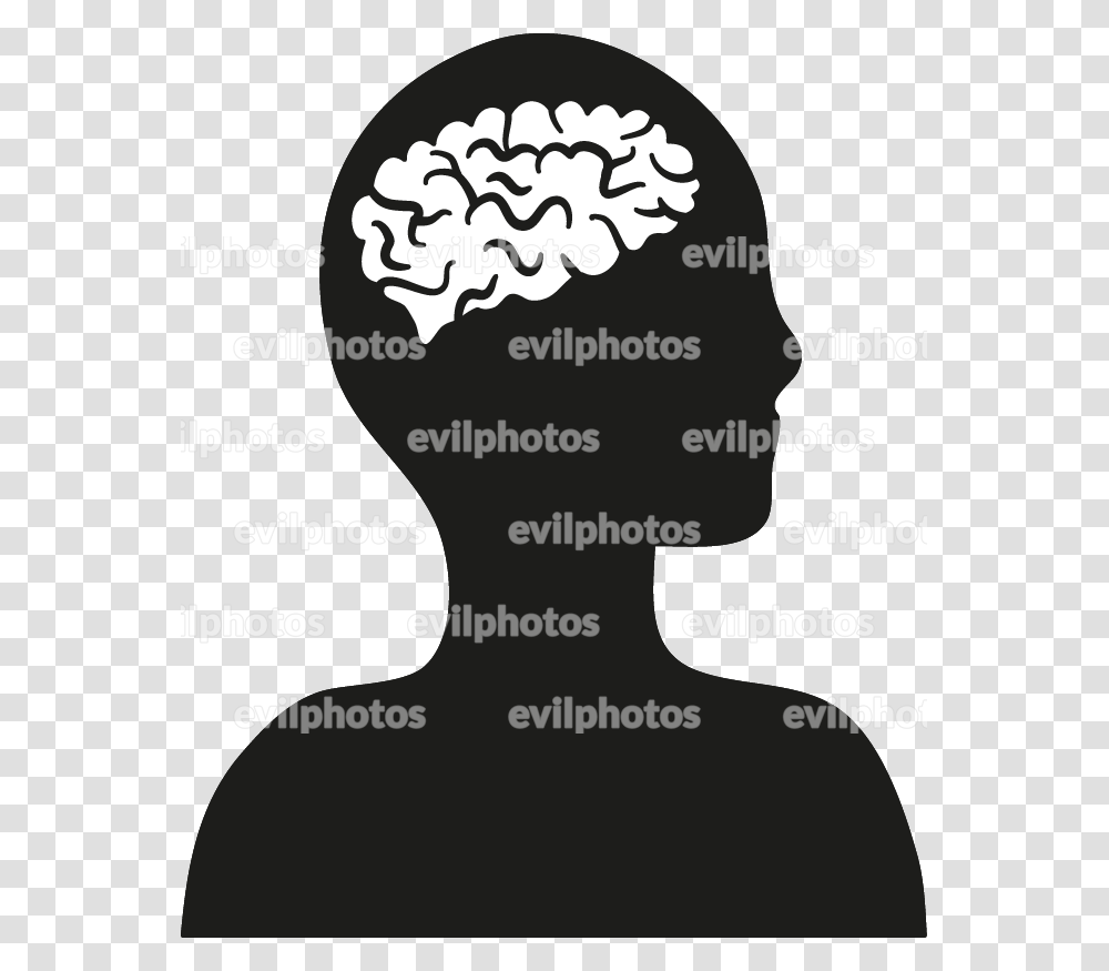 Brain Drawing Vector And Stock Photo Illustration, Flyer, Poster, Paper Transparent Png