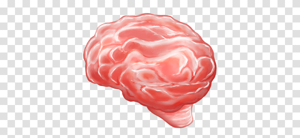 Brain Emoji All The New Emojis Just Added To Iphone Emoji, Rose, Flower, Plant, Blossom Transparent Png