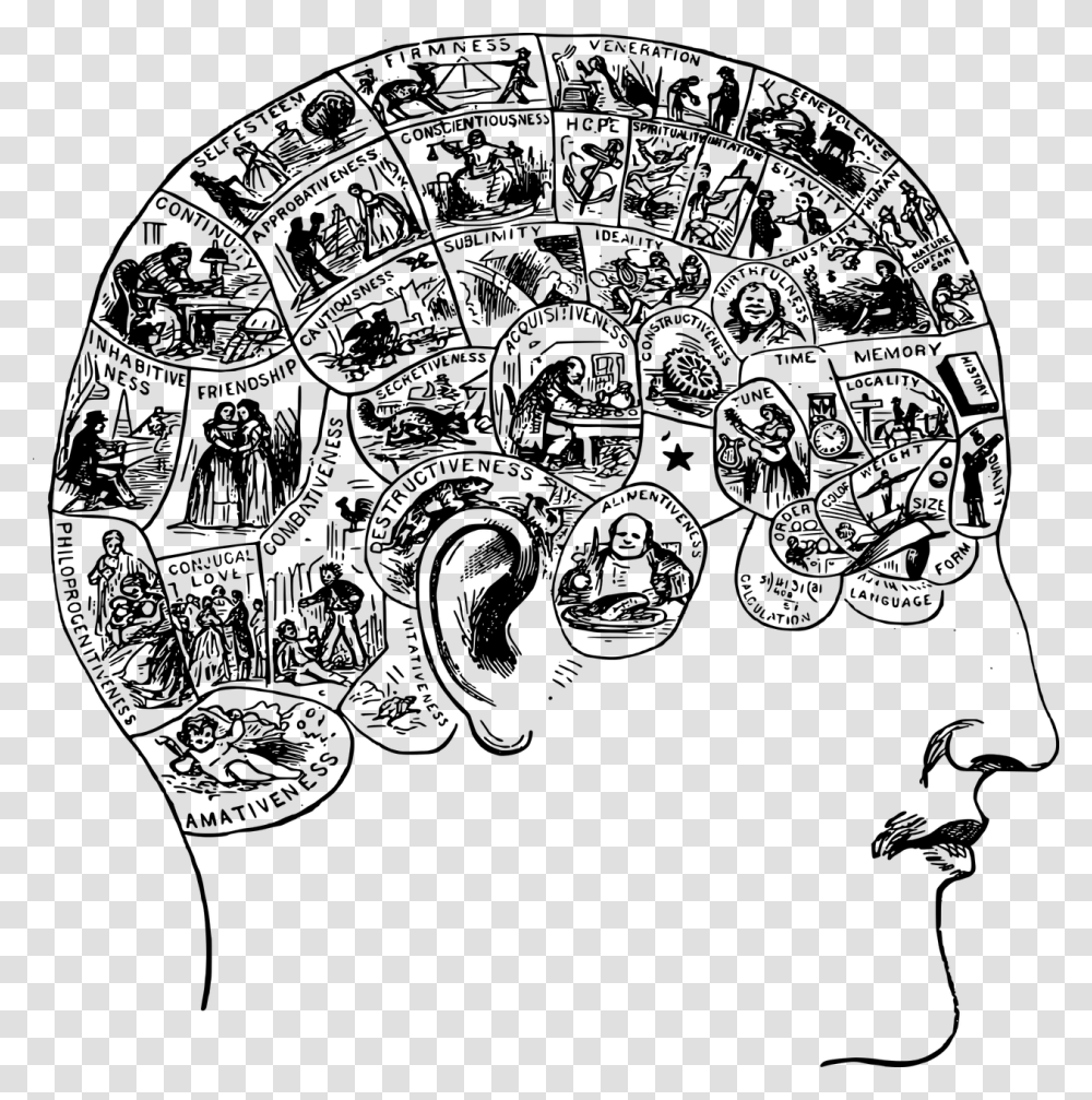 Brain Face Functions Head Human Image Brain Narrative, Gray, World Of Warcraft Transparent Png