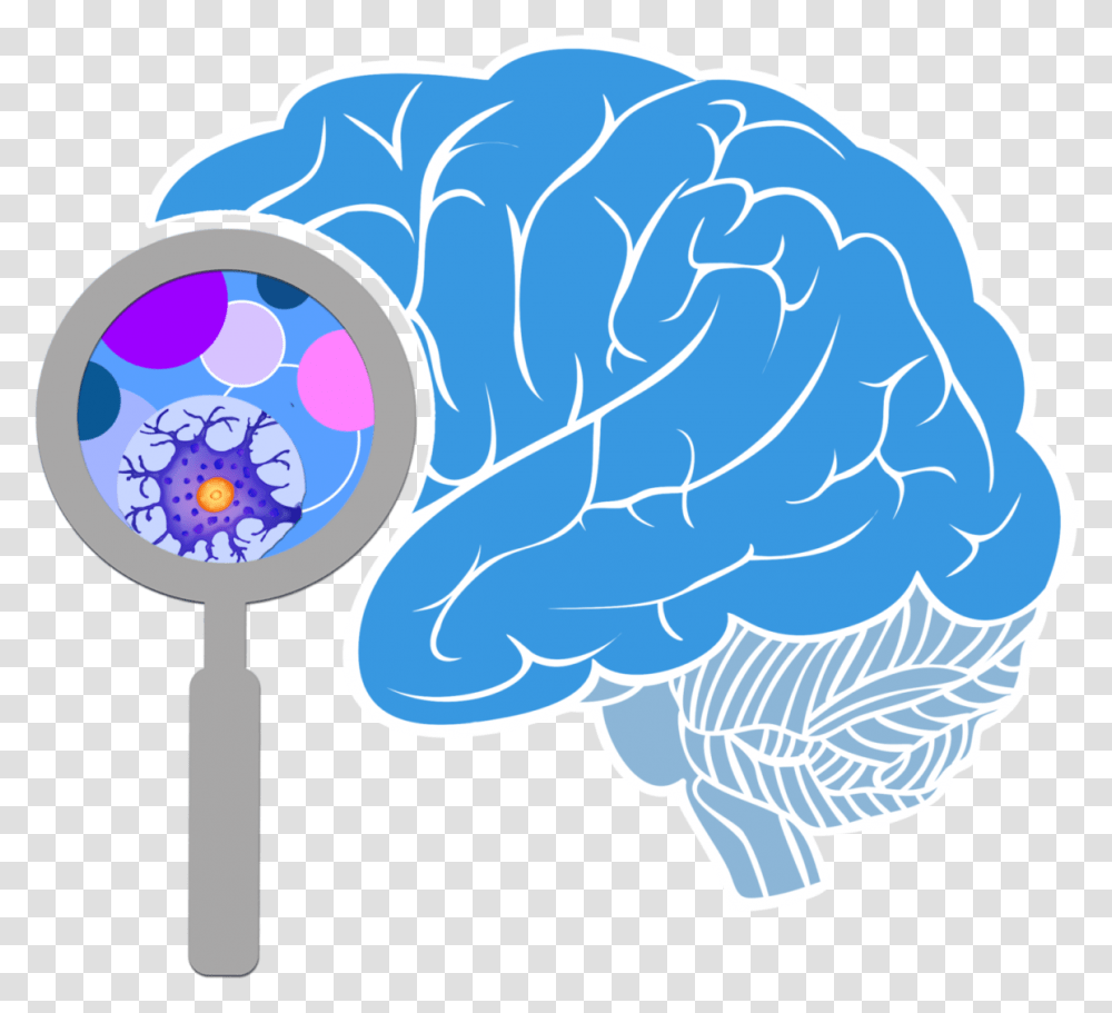 Brain Free Image Brain, Magnifying, Fungus, Graphics, Art Transparent Png