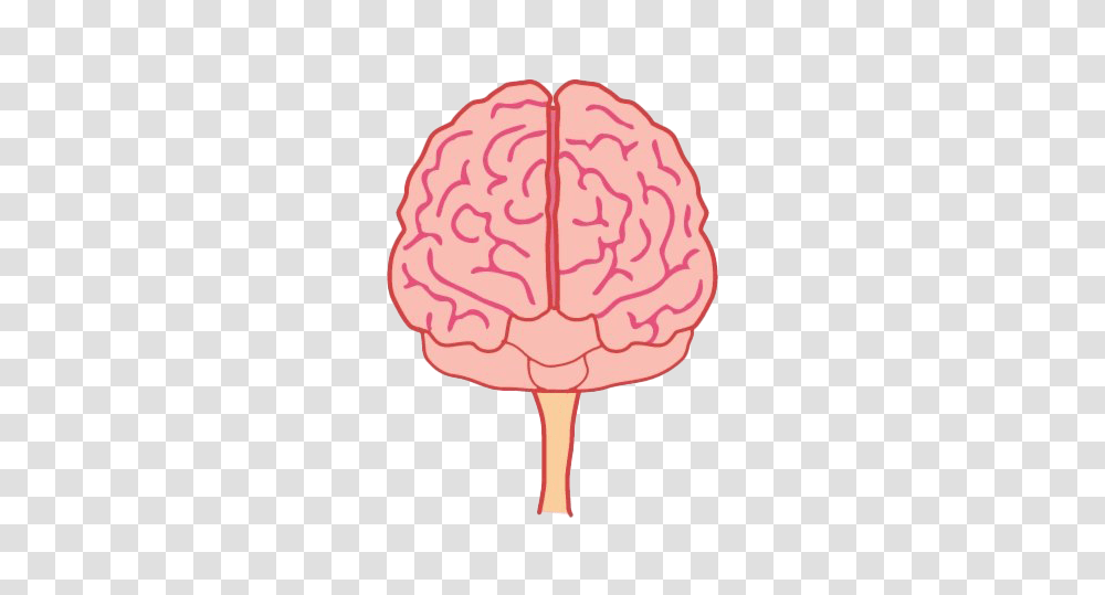 Brain Front View Image With Brain Front, Lollipop, Candy, Food Transparent Png