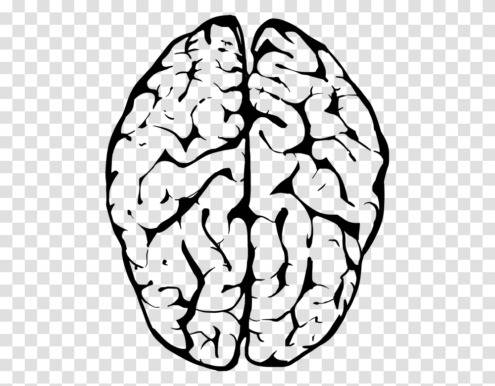 Brain Human Anatomy Head Human Brain Medical Brains Black And White, Gray, World Of Warcraft Transparent Png