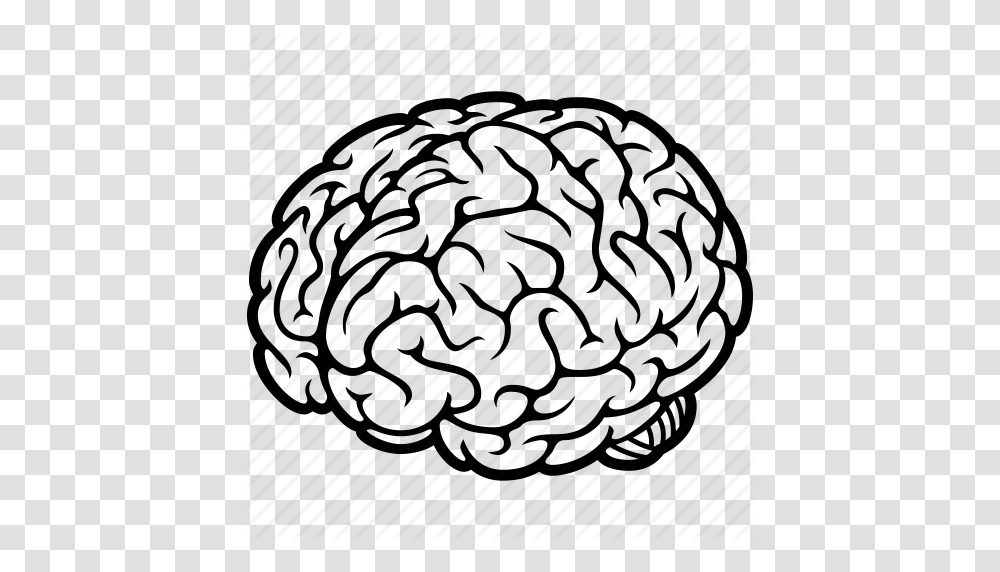Brain Human Organ Idea Memory Mind Think Thinking Icon, Rug, Plant, Food, Anthracite Transparent Png