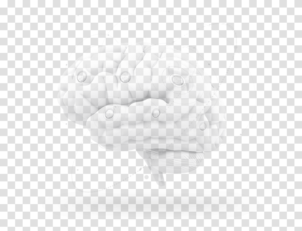 Brain Illustration, Drawing, Hand, Jaw Transparent Png