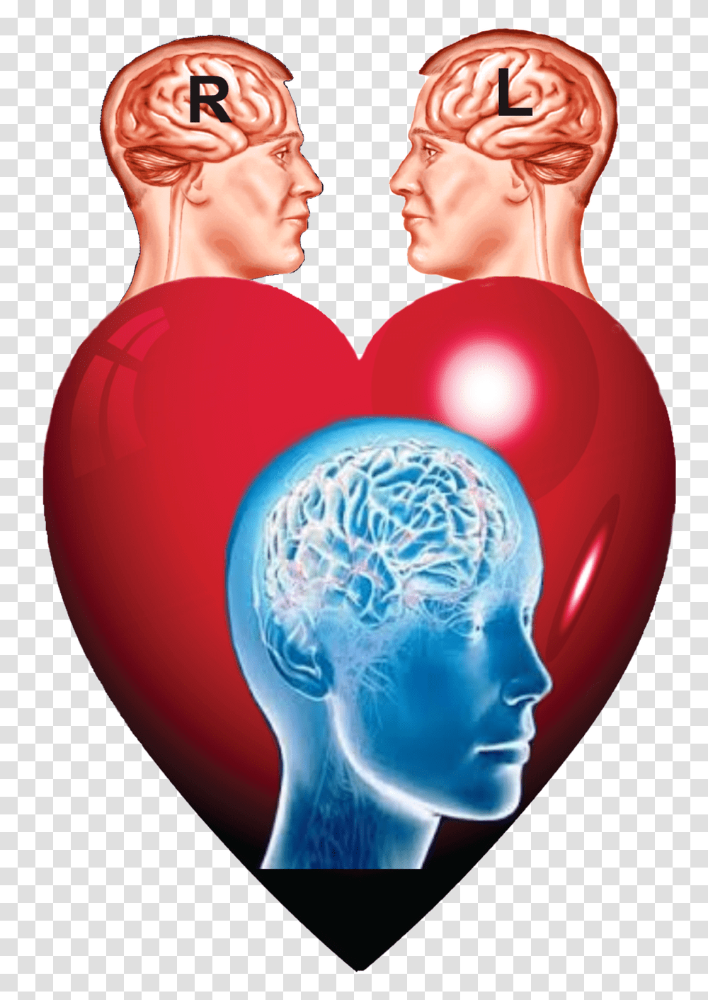 Brain Image Creative Commons, Balloon, Heart, Person, Human Transparent Png