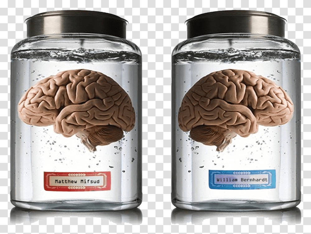 Brain In A Jar, Plant, Ice Cream, Dessert, Food Transparent Png