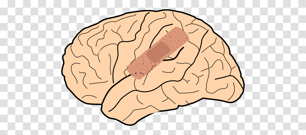 Brain Injury Clip Art For Web, Bandage, First Aid, Food Transparent Png