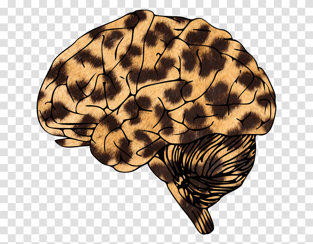 Brain Leopard Animal Print, Pattern, Ornament, Fractal, Modern Art Transparent Png