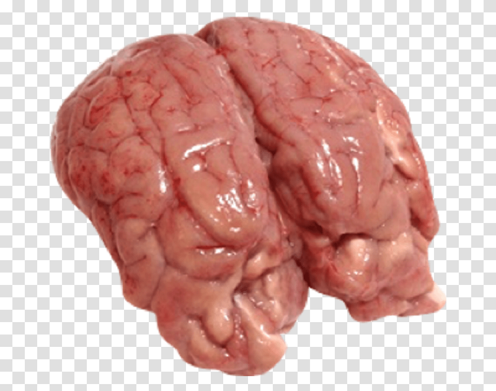 Brain Meat, Food, Teeth, Mouth, Lip Transparent Png