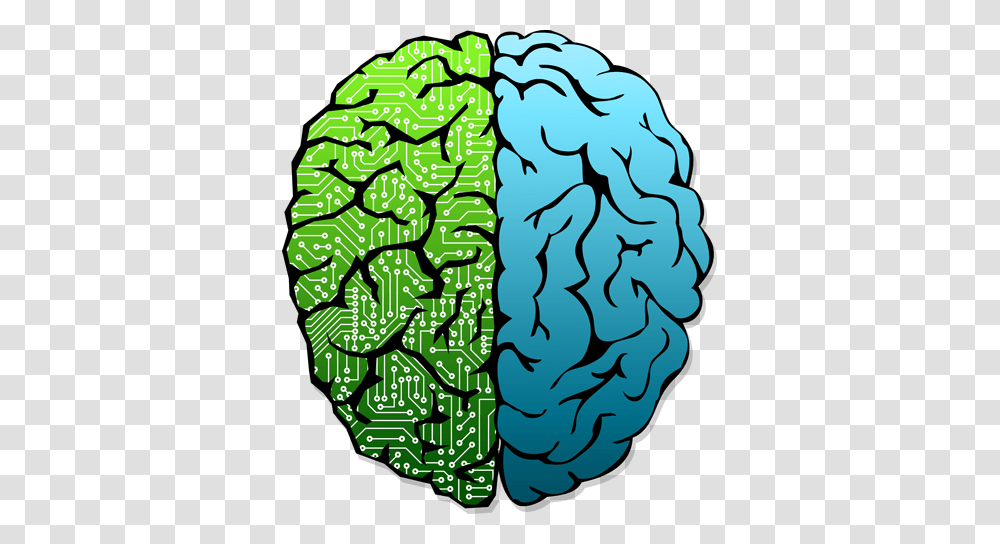 Brain Neuroethics Working Group, Plant, Tree, Pattern Transparent Png