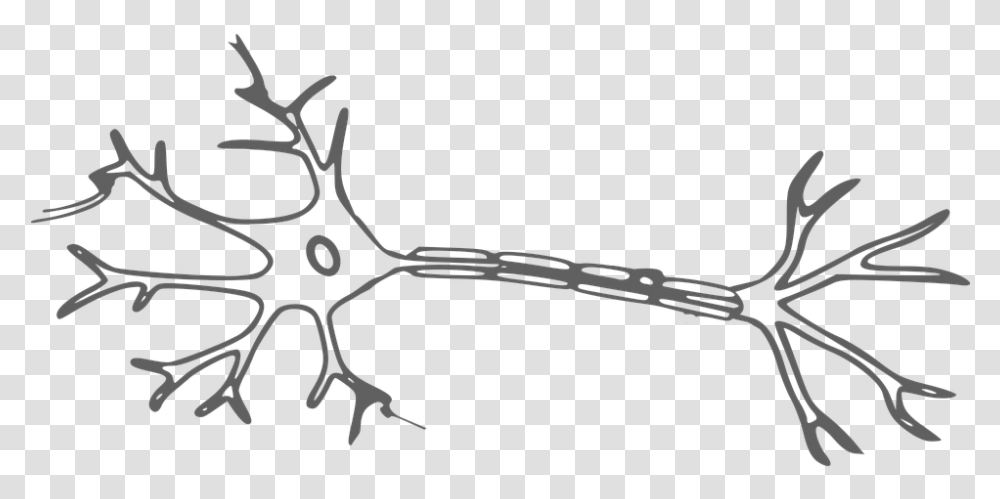 Brain Neuron Nerves Cell Science Neurology Neuron Clipart, Blade, Weapon, Weaponry, Scissors Transparent Png