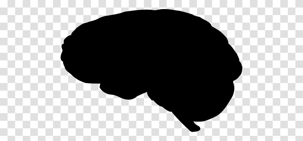 Brain Outline Clip Art, Gray, World Of Warcraft Transparent Png