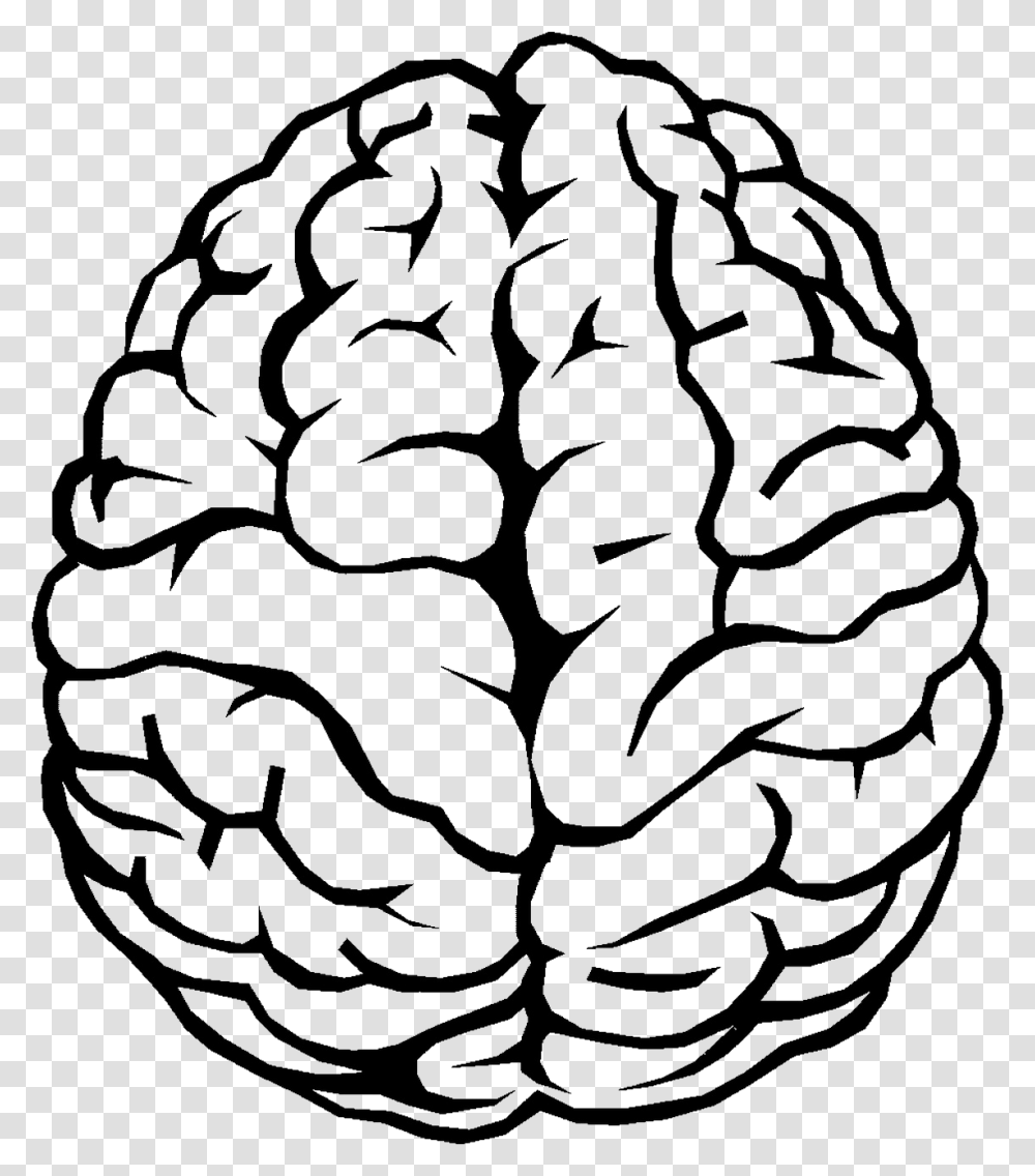 Brain Outline Image, Plant, Vegetable, Food, Produce Transparent Png