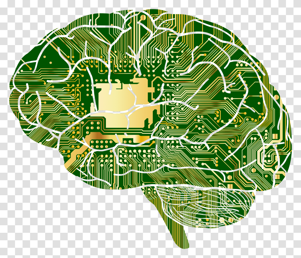 Brain, Person, Lighting Transparent Png