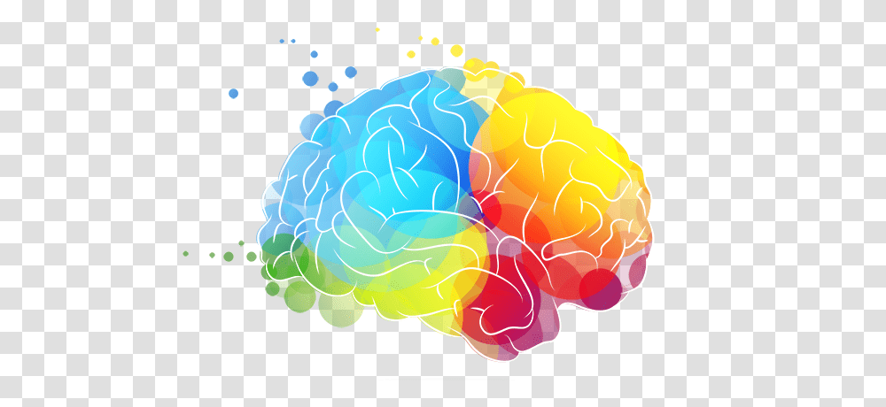 Brain, Person, Ball Transparent Png