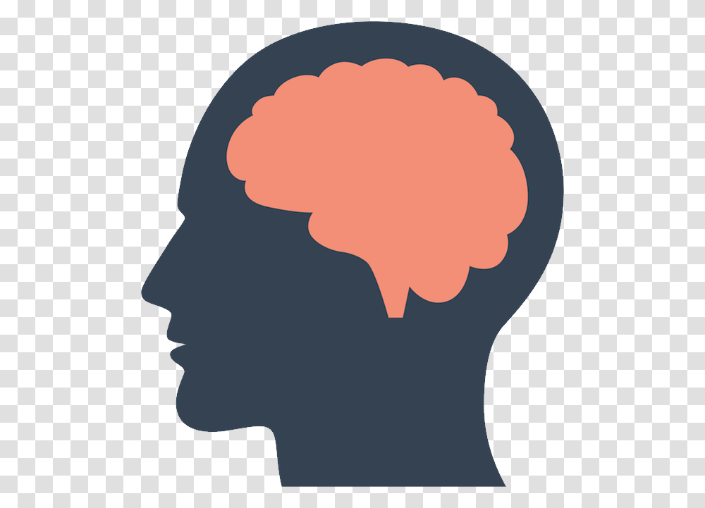 Brain, Person, Head, Hair, Back Transparent Png