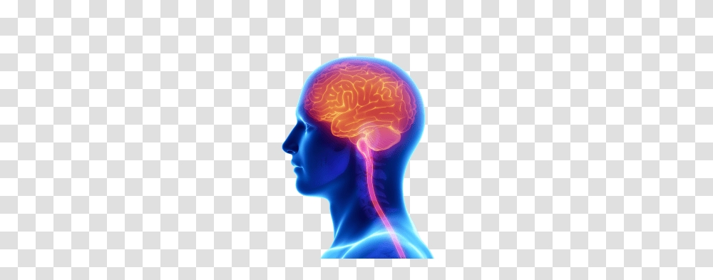 Brain, Person, Head, Human, Alien Transparent Png