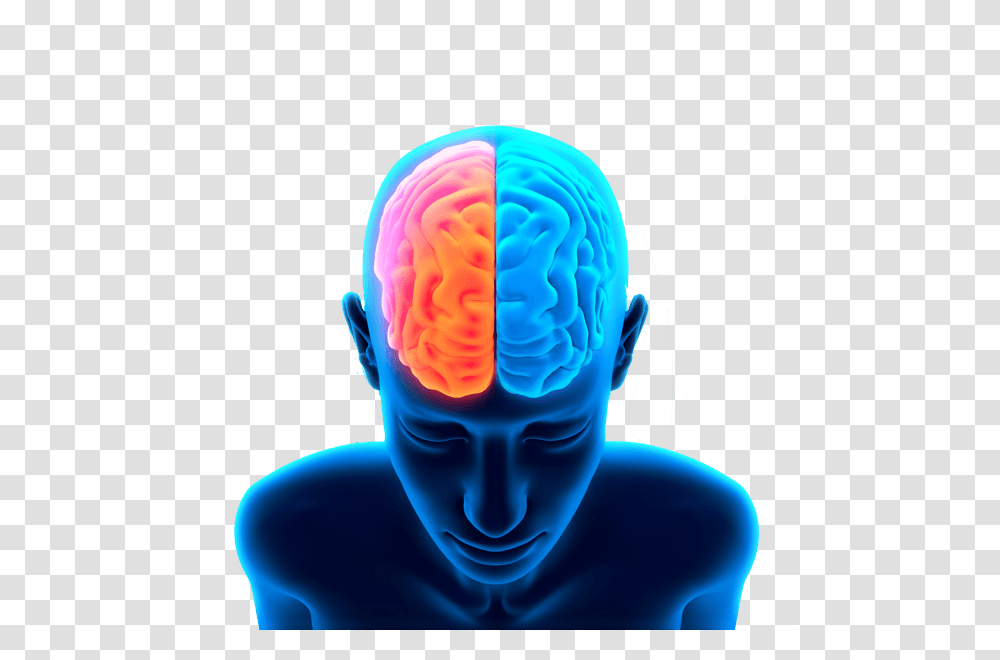 Brain, Person, Head, Light, Pattern Transparent Png