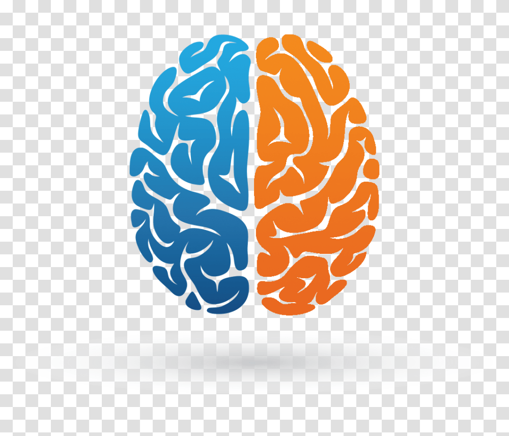 Brain, Person, Label, Lighting Transparent Png