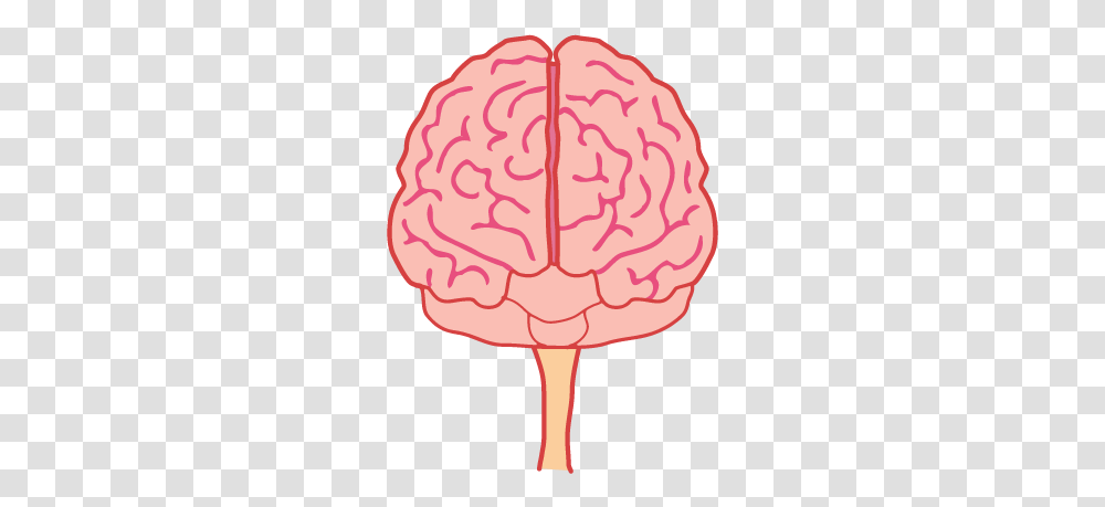 Brain, Person, Lamp, Food, Candy Transparent Png