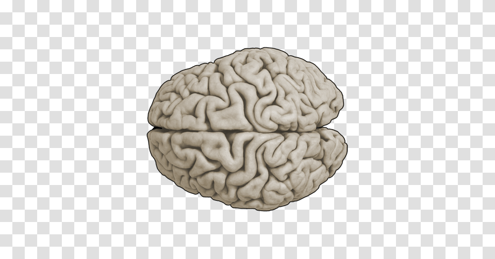 Brain, Person, Nature, Outdoors, Sea Transparent Png