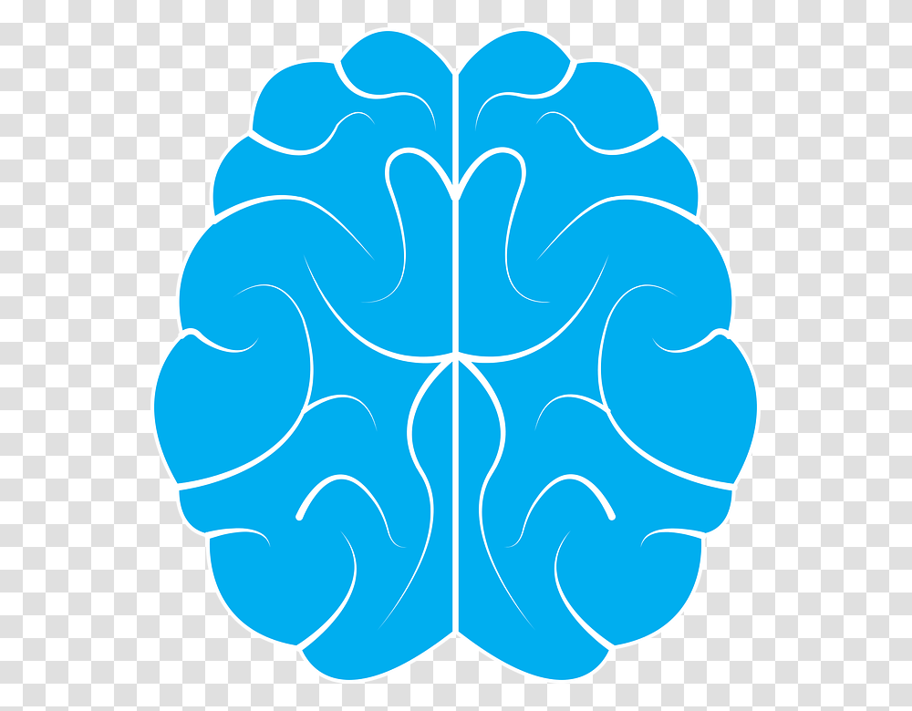 Brain, Person, Ornament, Pattern, Fractal Transparent Png