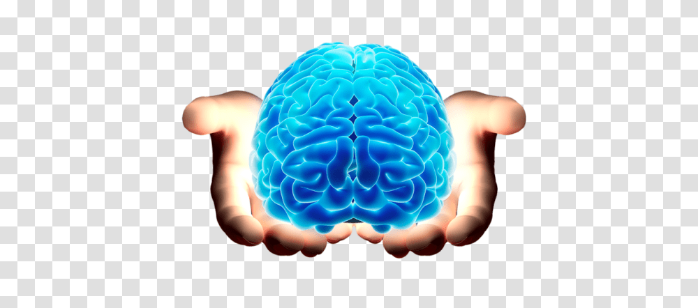 Brain, Person, Outdoors, Nature, Reef Transparent Png