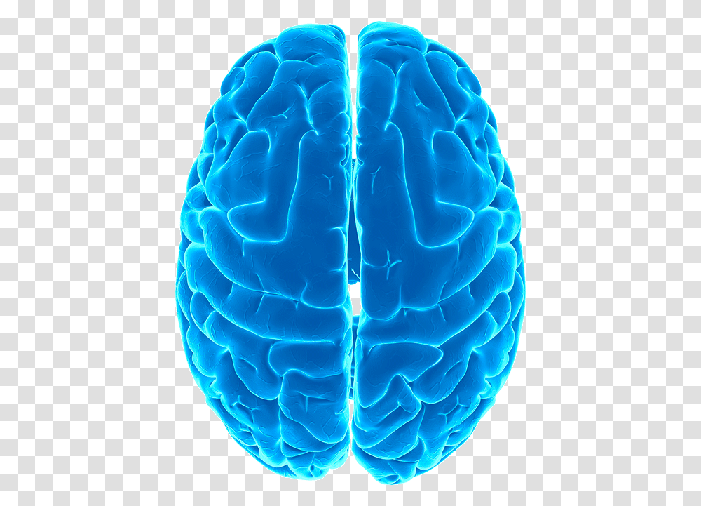 Brain, Person, Pillow, Cushion, Inflatable Transparent Png