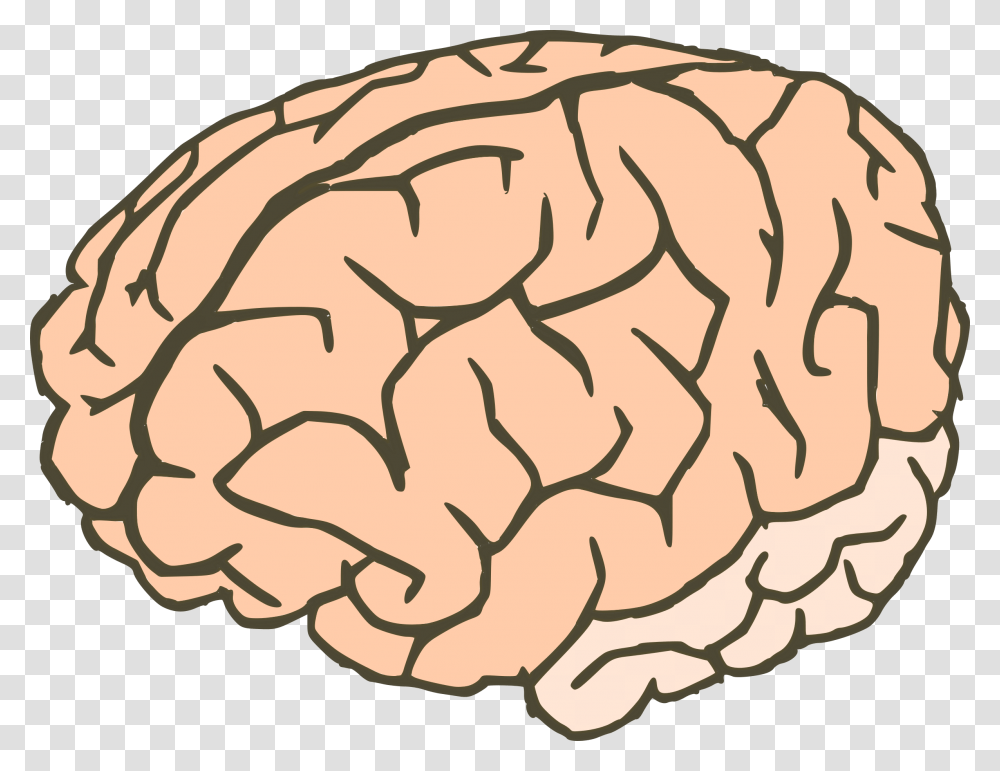 Brain, Person, Plant, Food, Pattern Transparent Png