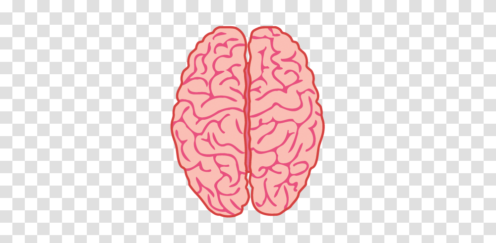 Brain, Person, Plant, Leaf, Flower Transparent Png