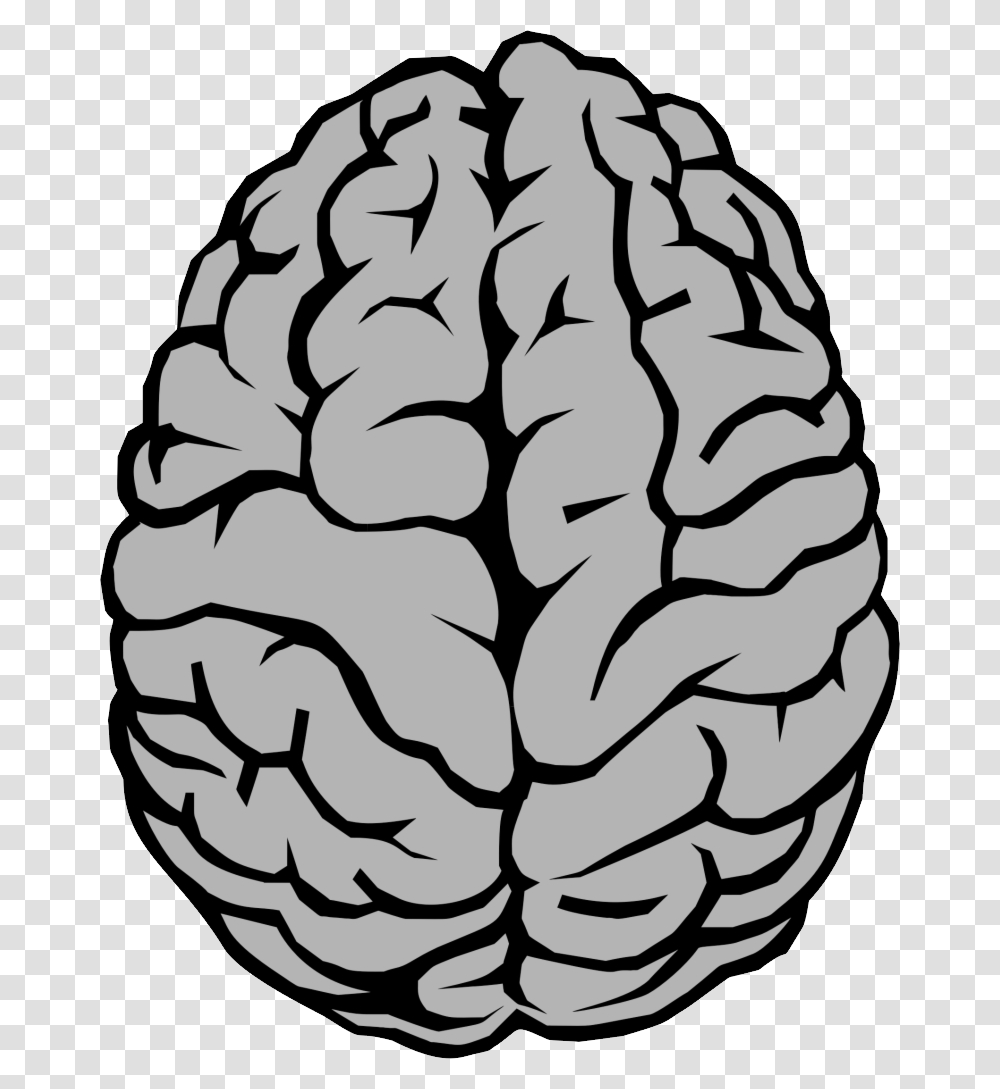 Brain, Person, Plant, Stencil, Vegetable Transparent Png