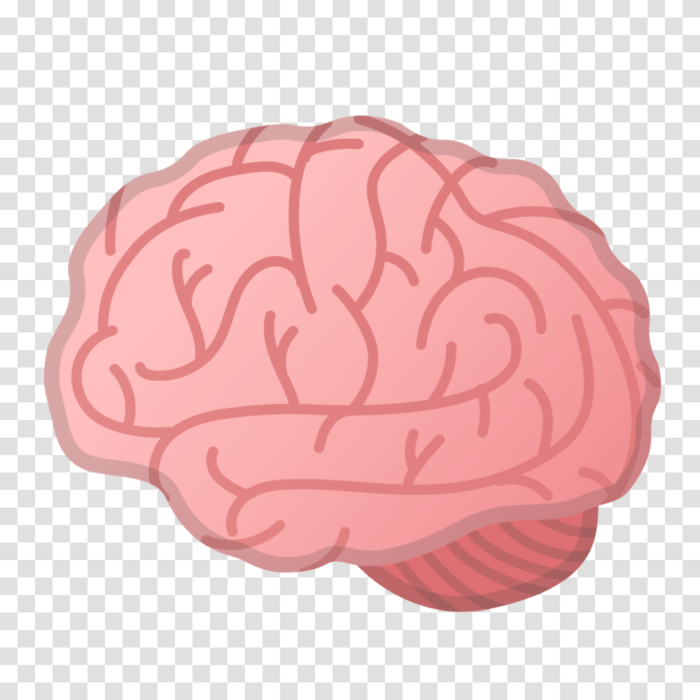 Brain, Person, Rock, Mineral, Fungus Transparent Png