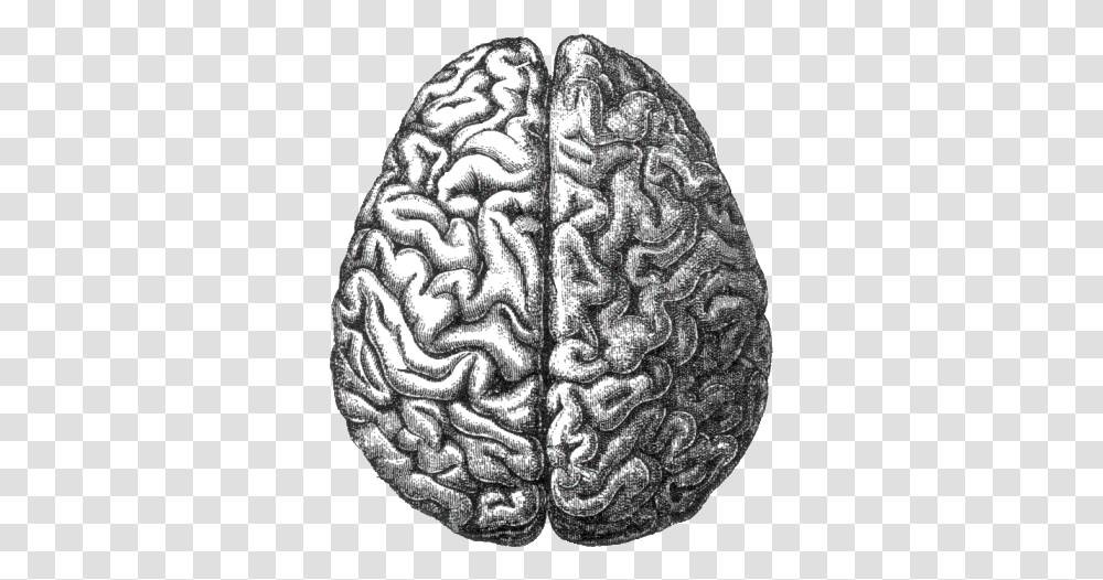 Brain, Person, Rock, Pattern, Armor Transparent Png