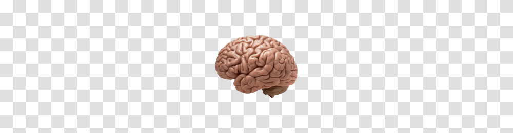 Brain, Person, Skin, Plant, Cushion Transparent Png