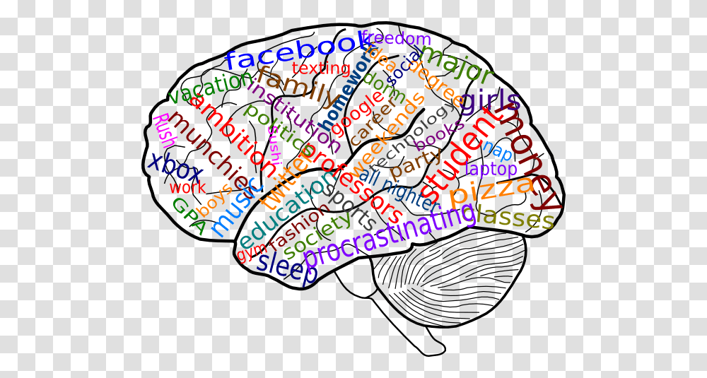 Brain Power Cliparts, Spiral, Number Transparent Png