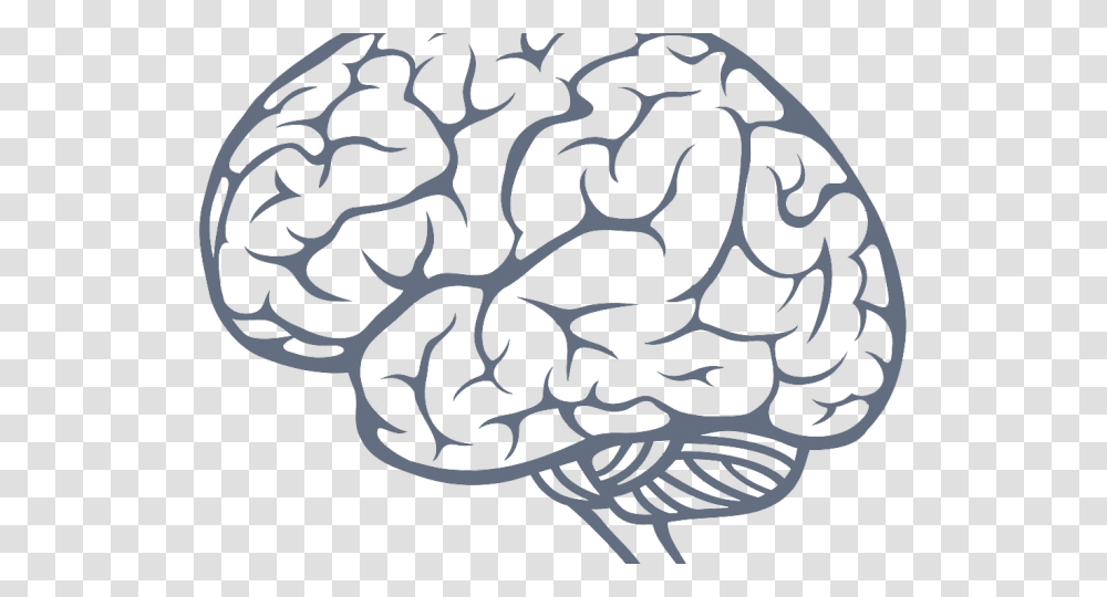 Brain Side View Vector, Rug, Cushion, Pillow Transparent Png