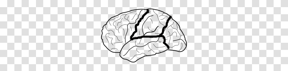 Brain Skech With Lobes Outlined Clip Art, Nature, Outdoors, Astronomy, Outer Space Transparent Png